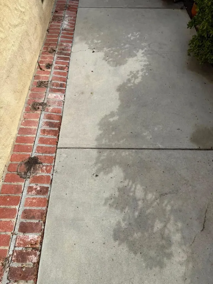 Close-up of a red brick border packed with dirt beside a stained concrete walkway