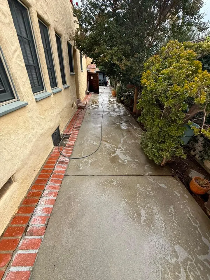The same side-yard walkway just after pressure washing, evenly clean and still wet