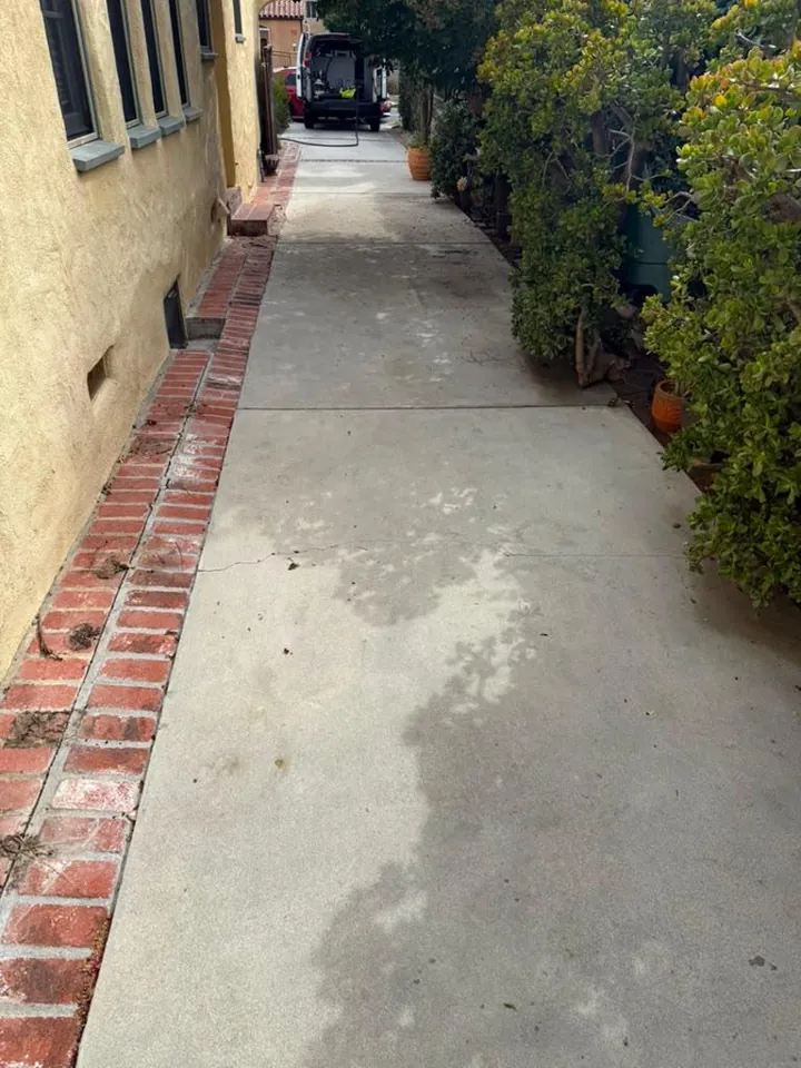Shaded side-yard concrete walkway with dark tree-shaped stains and a red brick border, before pressure washing